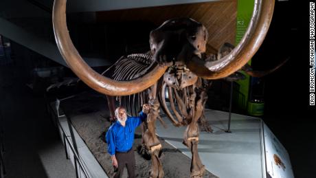 Le paléontologue Daniel Fisher de l’Université du Michigan se tient avec un squelette monté du mastodonte de Buesching. Photo par Eric Bronson, Michigan Photography.